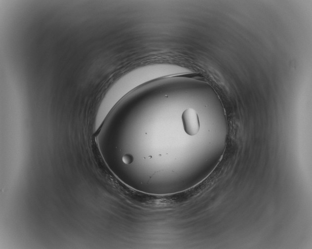 X0000113550324200909181204