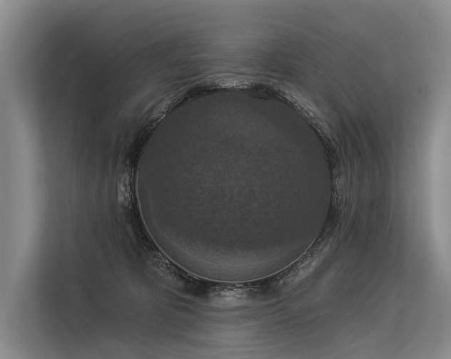 X0000113550325200909181204