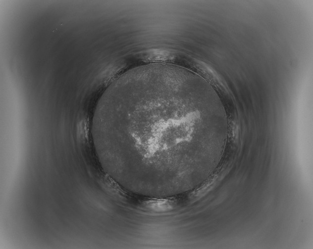 X0000113550326200909181204