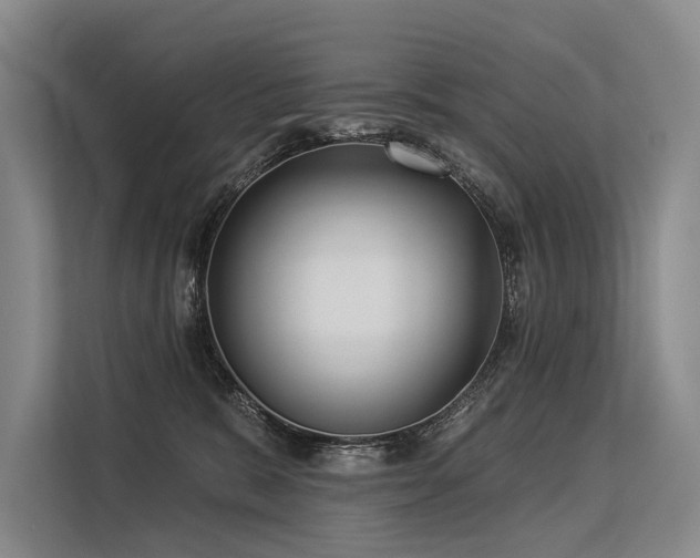 X0000113550327200909181204