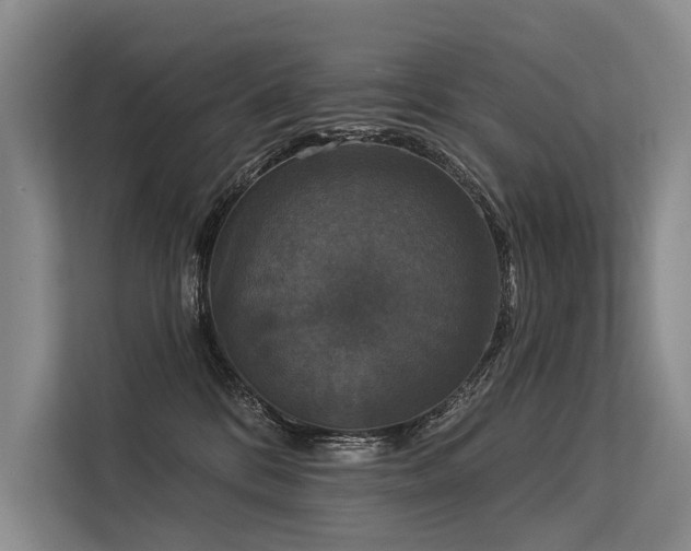 X0000113550328200909181204