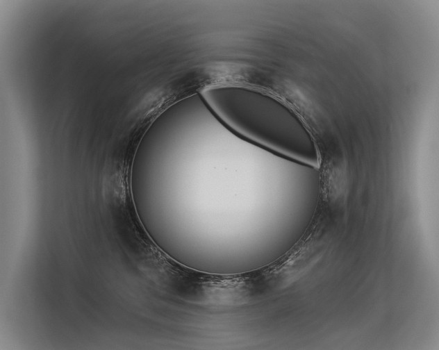 X0000113550329200909181204