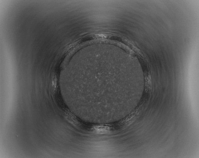 X0000113550331200909181204