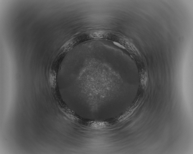 X0000113550332200909181204