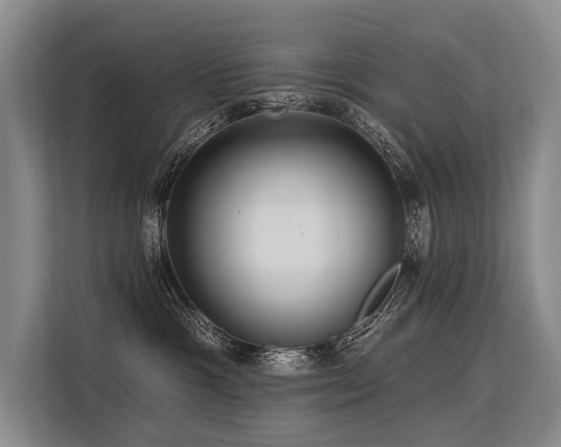 X0000113550333200909181204