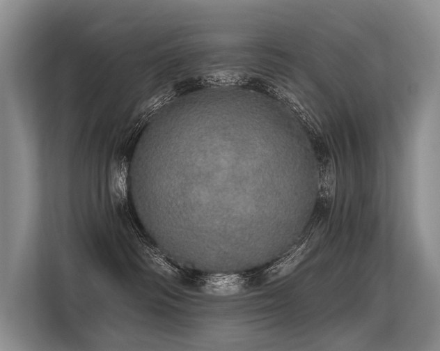 X0000113550334200909181204