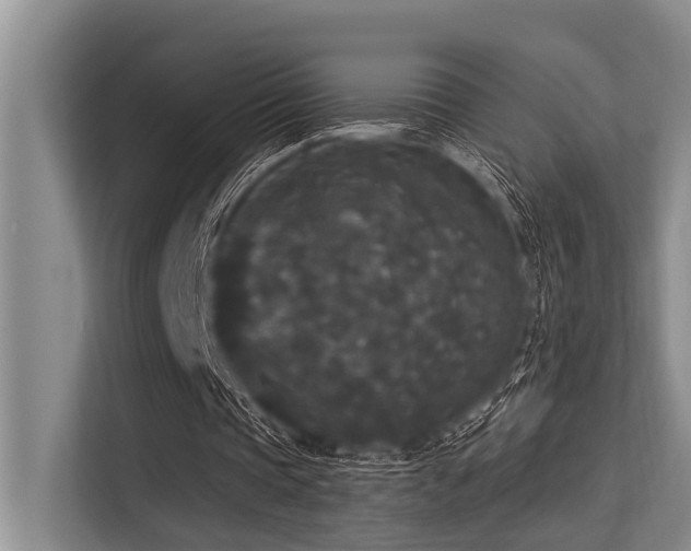 X0000113550337200909181204