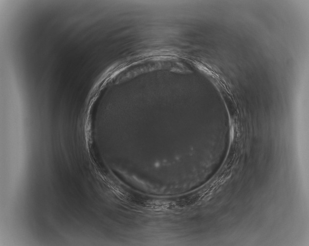 X0000113550339200909181204