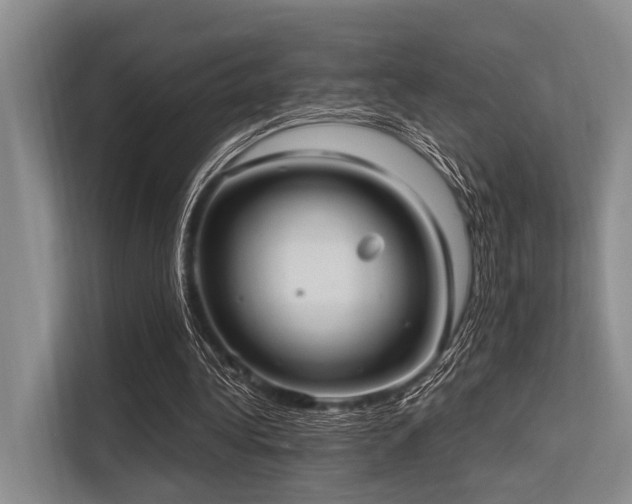 X0000113550340200909181204