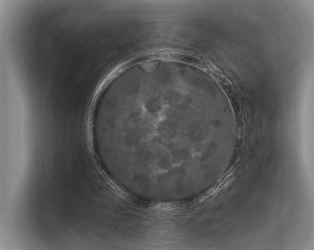 X0000113550341200909181204