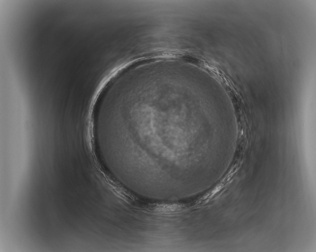 X0000113550342200909181204