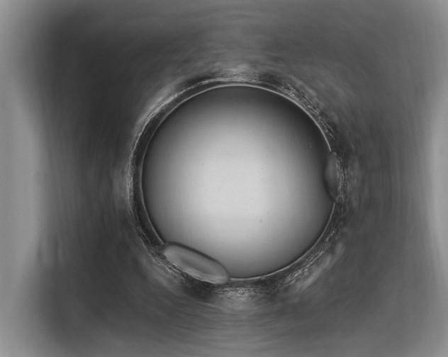 X0000113550344200909181204