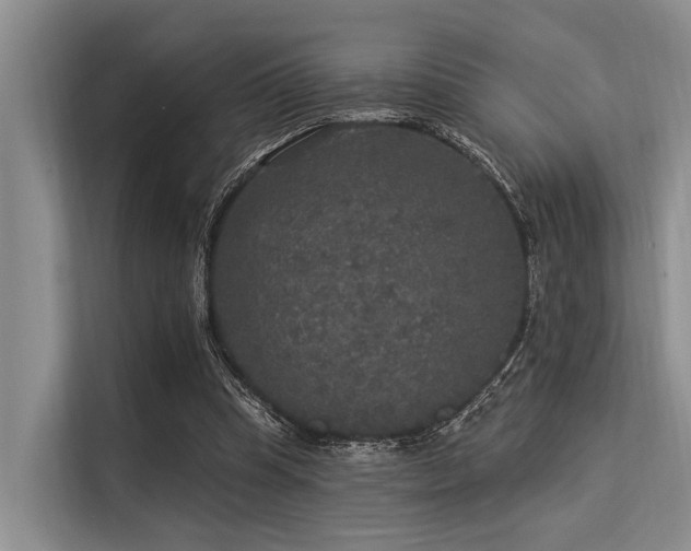 X0000113550345200909181204