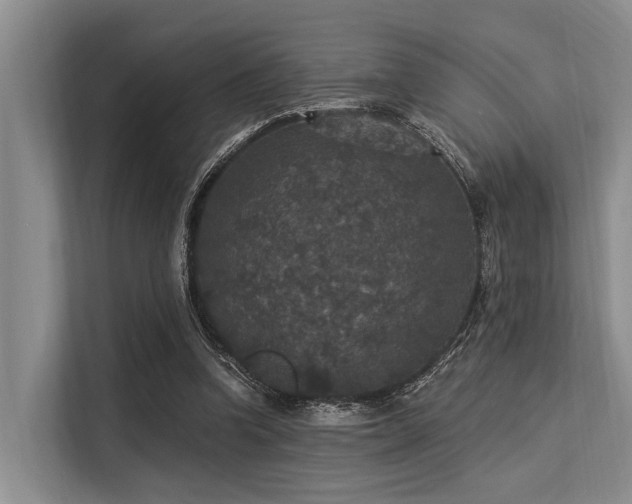 X0000113550346200909181204