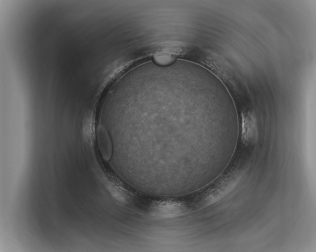 X0000113550348200909181204