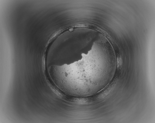 X0000113550349200909181204