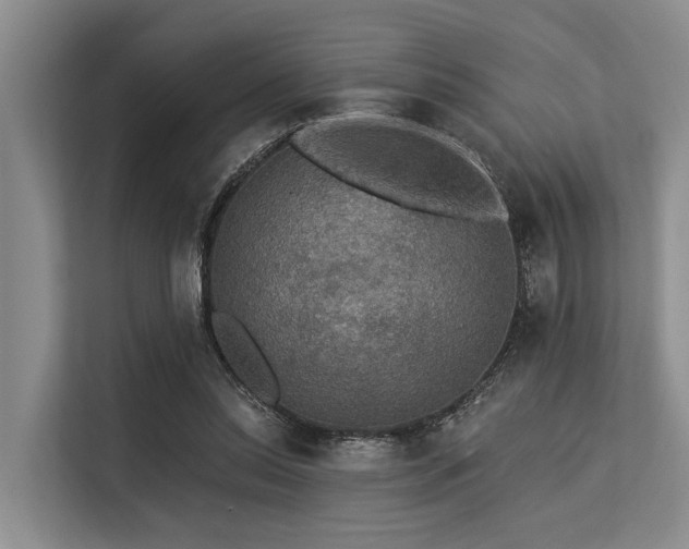 X0000113550350200909181204