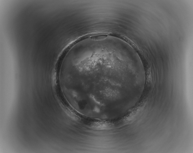 X0000113550351200909181204