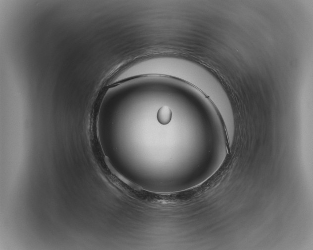 X0000113550352200909181204