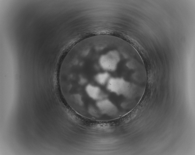 X0000113550353200909181204