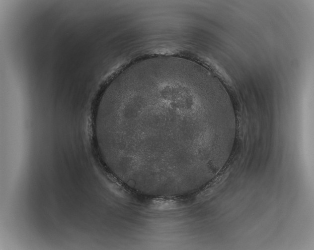 X0000113550354200909181204