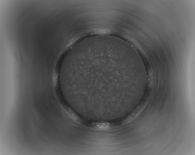 X0000113550355200909181204