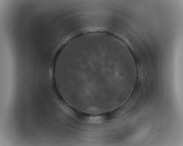 X0000113550357200909181204