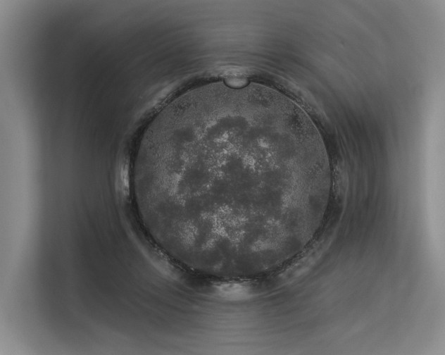 X0000113550358200909181204