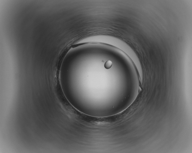 X0000113550360200909181204