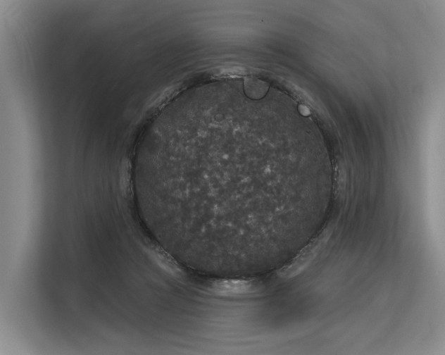 X0000113550361200909181204