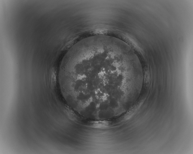 X0000113550363200909181204