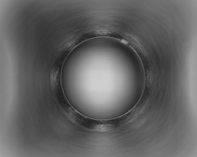 X0000113550364200909181204