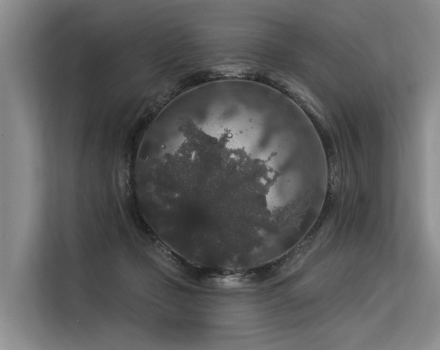 X0000113550365200909181204