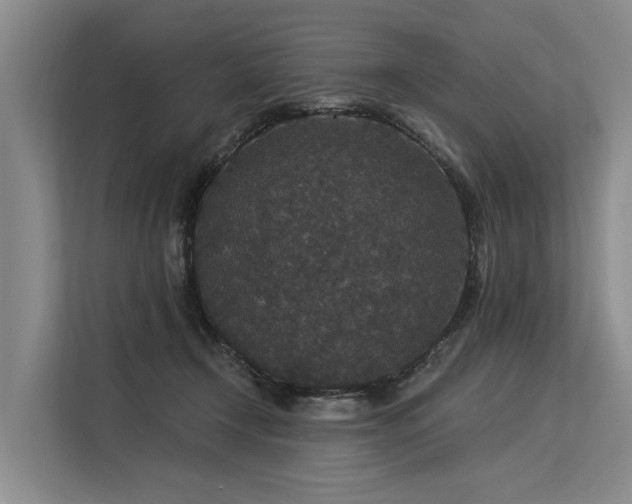 X0000113550366200909181204