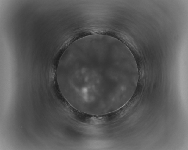 X0000113550367200909181204