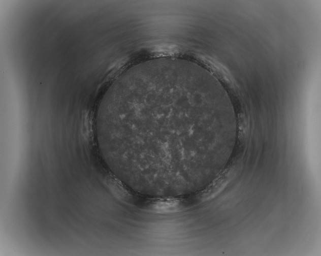 X0000113550369200909181204