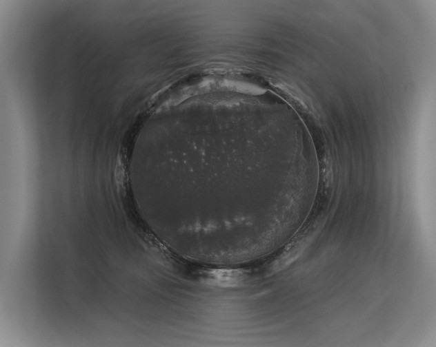 X0000113550371200909181204