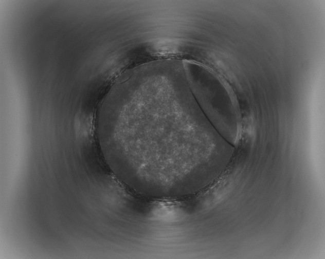 X0000113550372200909181204