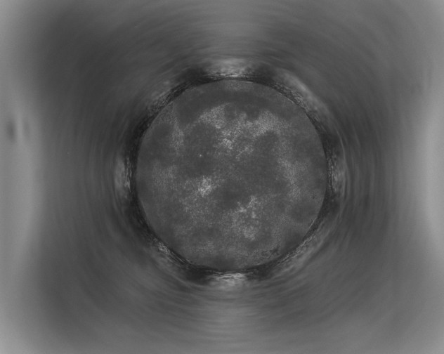 X0000113550374200909181204