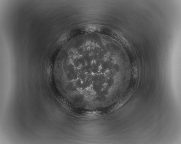 X0000113550375200909181204