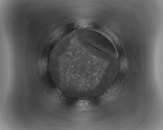 X0000113550376200909181204