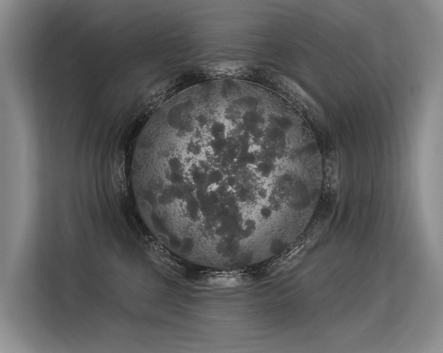 X0000113550377200909181204