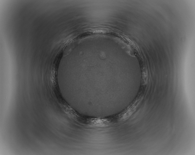 X0000113550379200909181204