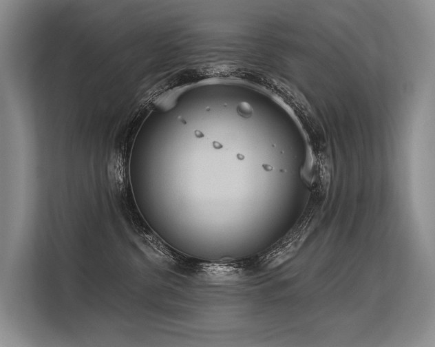 X0000113550380200909181204