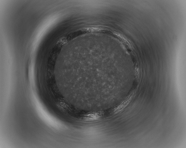 X0000113550381200909181204