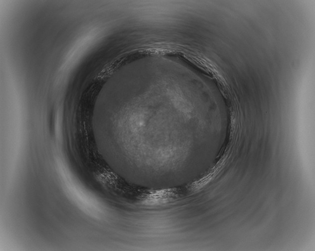 X0000113550382200909181204