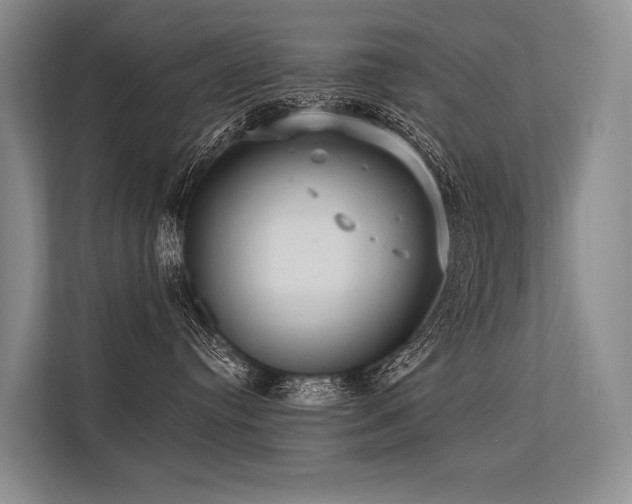 X0000113550384200909181204