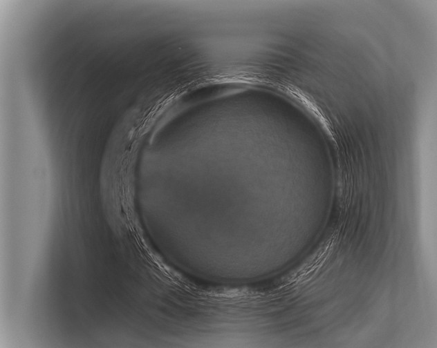 X0000113550385200909181204