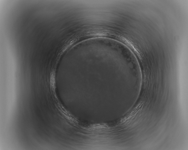 X0000113550386200909181204