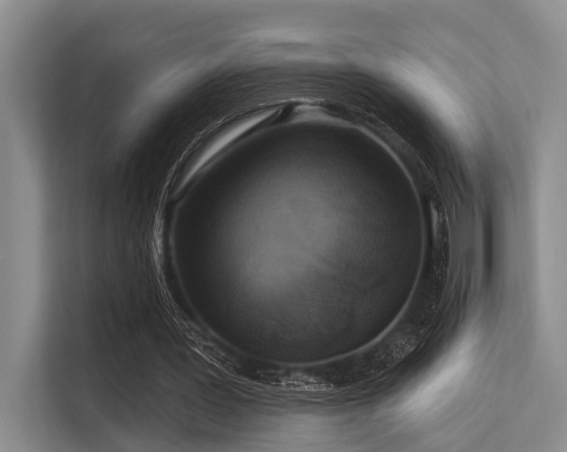 X0000113550387200909181203